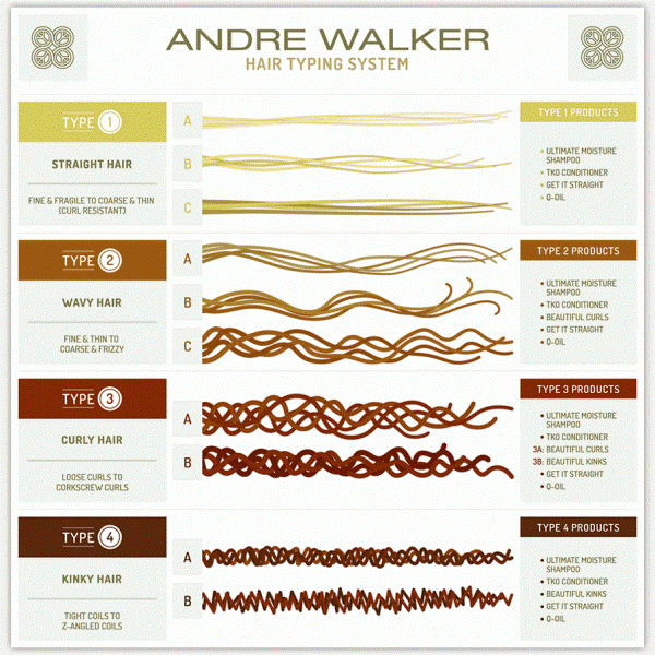 André Walker's hair typing system.